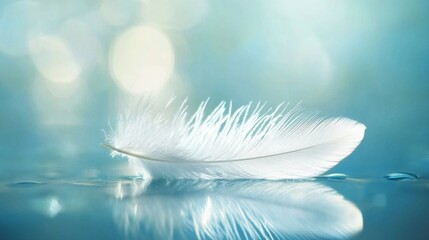 Naklejka premium A single, delicate white feather floats gently on a serene teal surface, its reflection mirroring its ethereal beauty. Soft, diffused light creates a peaceful atmosphere.