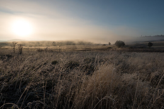 Frosty Sunrise: A serene landscape of frosted grass under the sun with mist hanging over a distant field