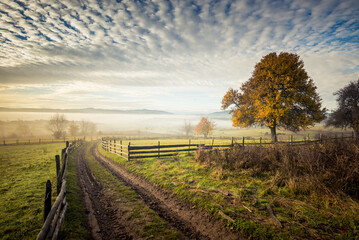 A rural scene with a winding dirt path wooden fence and golden tree under a dramatic cloudy sky