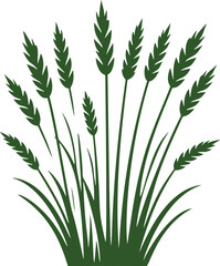 Green wheat stalks illustration.