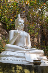 A large silver Buddha statue is enshrined in a natural forest.