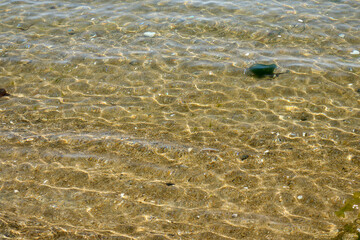透き通った海に映る光の波紋
