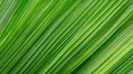 Intricate veins of a green leaf, showcasing nature's delicate design and organic beauty.