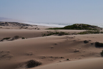 Ojos Sand Dunes