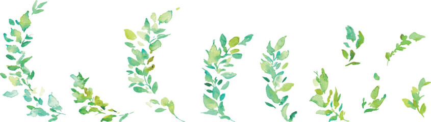 水彩画。水彩タッチのユーカリのベクターイラスト。水彩で描いた葉っぱの装飾フレーム。Watercolor painting. Vector illustration of eucalyptus with watercolor touch. Decorative frame with leaves painted in watercolor.