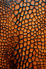 unique animal skin texture pattern abstract graphic poster background
