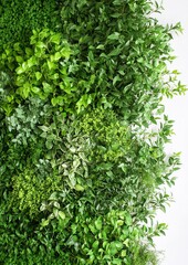 Obraz premium Stunning Vertical Plant Wall: Elevate Your Space with Eco-Friendly Interior Decor Featuring Lush Greenery and Modern Aesthetics for a Fresh, Inviting Ambiance