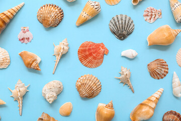 Many different sea shells on blue background