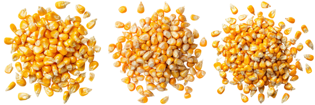 Close-Up of Fresh Yellow Corn Kernels on Black Background