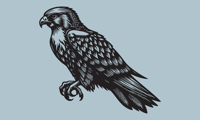 falcon  silhouette vector art illustration white background  bird, wing, flying, freedom, illustration, animal, design, symbol, vector, angel, eagle, feather, fly, silhouette, tattoo, wildlife, dove, 