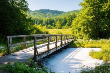 Fototapeta premium Summer snowy concept. A serene wooden bridge spans a tranquil stream, surrounded by lush green trees and rolling hills under a clear blue sky.