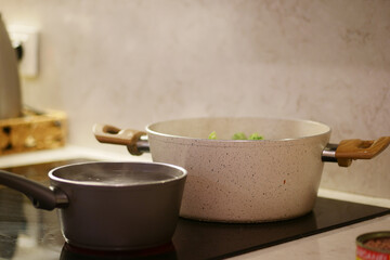 Cooking vegetables in a modern kitchen setting with pots and stovetop