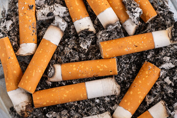 Cigarette butts and ashes in an ashtray
