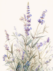 Lavender watercolor hand-painted decorative elements