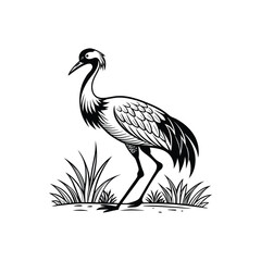 Black and White Heron Bird Silhouette with Grass – Vector Illustration