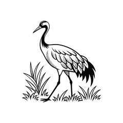 Black and White Heron Bird Silhouette with Grass – Vector Illustration
