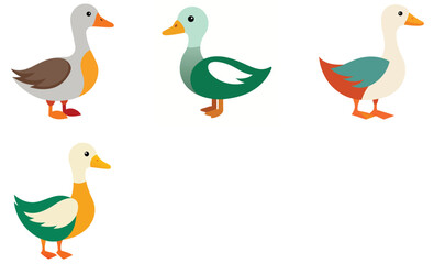 Obraz premium Eynesbury duck animals vector art set design on white background