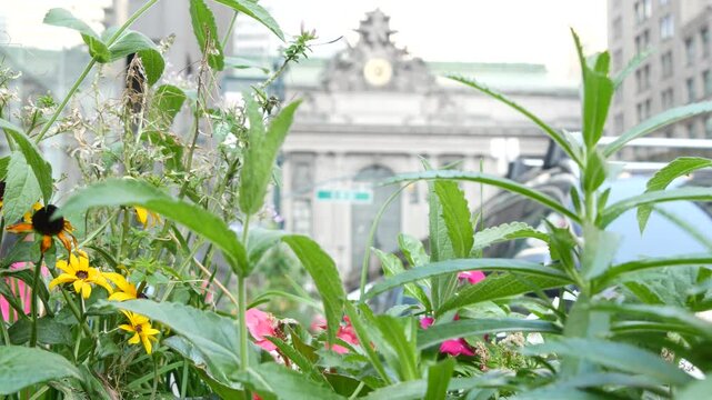 New York City Grand Central Terminal railway station building on 42 street. Manhattan Midtown, Pershing Square, NYC, USA. American urban scene, United States. Summer or spring flowers on flowerbed.