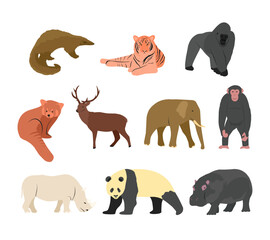 A collection of illustrations featuring endangered wildlife species from around the world, including mammals and reptiles. For conservation awareness, environmental projects and educational materials.