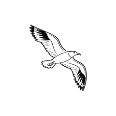 Obraz premium Soaring Bird Silhouette with Outstretched Wings – Minimal Vector Art