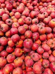 Close up of Red Hawthorn Berries sale in supermarket