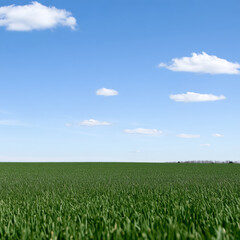 Obraz premium Green field under clear blue sky with clouds