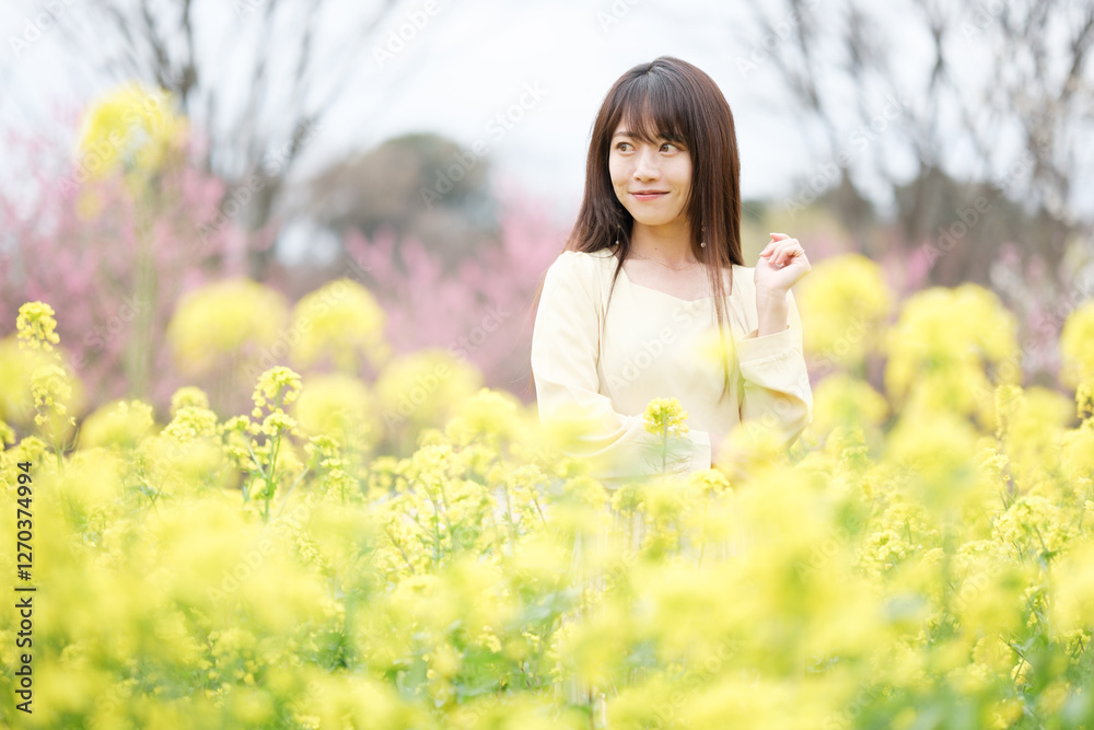 Poster 美しい日本女性