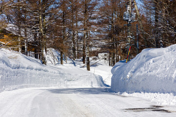 A snow-cleared road through trees on a sunny winters day (Madarao, Japan)