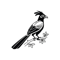 Black Silhouette of Crested Bird – Exotic Songbird Vector Illustration