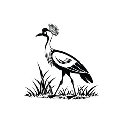 Royal Crested Bird Silhouette Standing on Grass – Vector Art