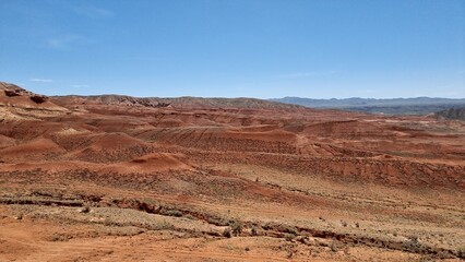 desert landscape in the spring