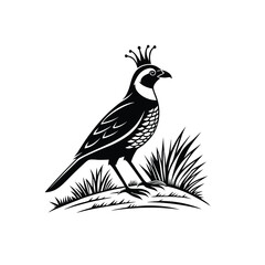 Royal Crested Bird Silhouette Standing on Grass – Vector Art