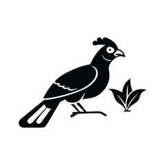 Black Silhouette of Crested Bird – Exotic Songbird Vector Illustration