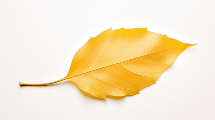 Naklejka premium golden fall leaf on white