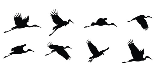 Obraz premium A Birds silhouettes collection illustration with white background