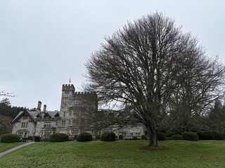 Obraz premium castle in the park