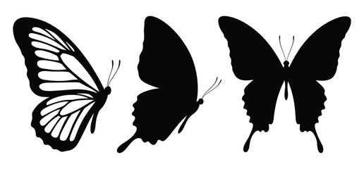 Fototapeta premium A Butterfly Vector and silhouette illustration with white background