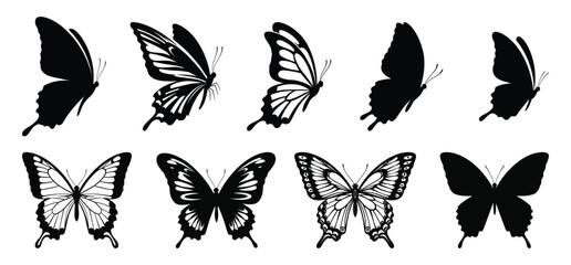 A Butterfly Vector and silhouette illustration with white background