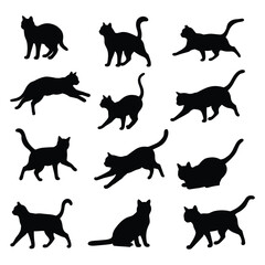 A cat  silhouette illustration with white background