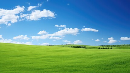 Fototapeta premium vibrant growing green blue