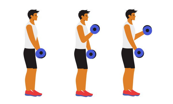 man performing dumbbell curls, a popular exercise targeting the biceps. The character grips a dumbbell in each hand, standing with feet shoulder-width apart