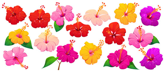 Tropical Hawaii hibiscus flowers, tropical plant blossom buds in red, pink, yellow and purple shades with lush green leaves, delicate petals and stamens, evoking vibes of summer and exotic beach © Vector Tradition