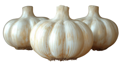 Pure Allium Essence: A studio shot captures three pristine heads of garlic, showcasing the simple elegance and culinary potential of this essential ingredient.