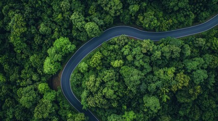 Sustainable Businesses A bird is-eye view reveals the winding asphalt path snaking its way through a verdant rainforest, its journey ascending towards a towering mountain, symbolizing progress and
