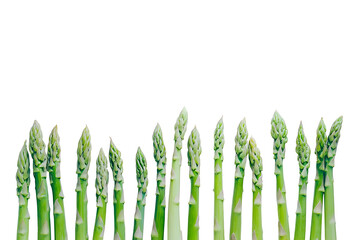 Fresh asparagus spears with vibrant green color and texture neatly arranged pattern isolated on cut out PNG or transparent background. Vegetables for cooking. Food photography and advertising.