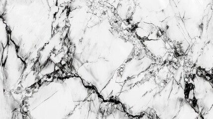 Obraz premium White marble texture background, close-up, detailed veins