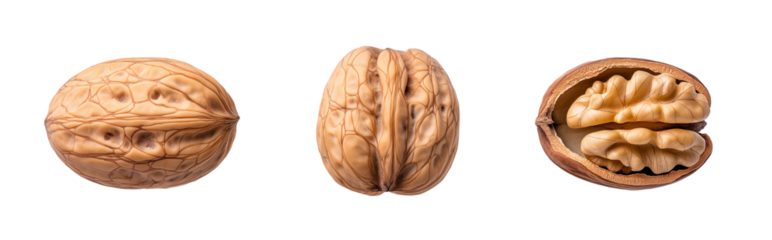 Here is the optimized metadata for your microstock submission: