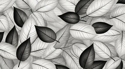 design black and white leaf illustration