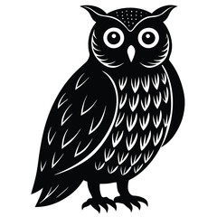 owl on white background