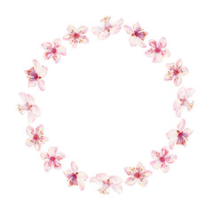 Wreath of sakura flowers isolated on a white background. Spring blooming cherry blossom flowers for Hanami festival. Delicate shades of pink, lilac, violet petals. Watercolor template for card, poster